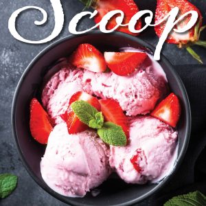 2019 Ice Cream Scoop Guide
