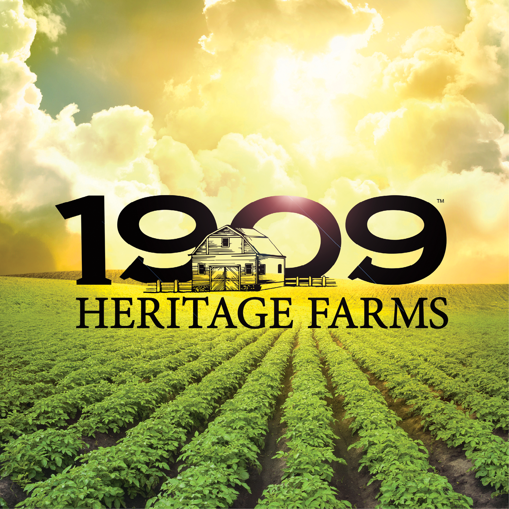 Homepage Product 1909 Heritage