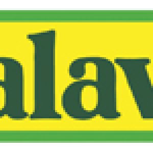 Calavo Logo