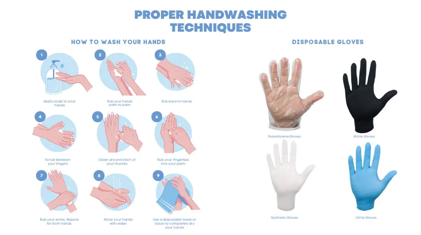 Proper Handwashing and Glove Usage
