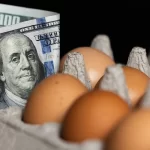 Why Eggs Are So Expensive